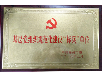 2018基層黨組織規(guī)範化建設(shè)“標兵”單位