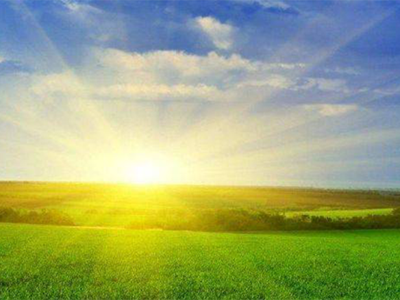 2020H1，錦州陽光戮力同心、運營達(dá)滿產(chǎn)