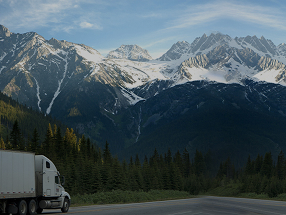 打造綠色典范工程！陽光能源助力中廣核新能源吉林白城項目順利開工