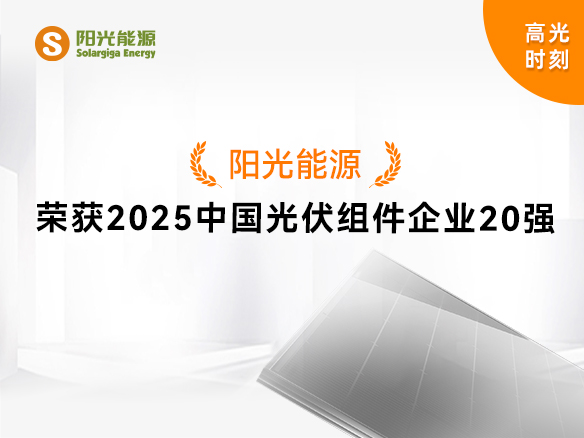 高光時刻 | 陽光能源實力登榜“2025中國光伏組件企業(yè)20強”